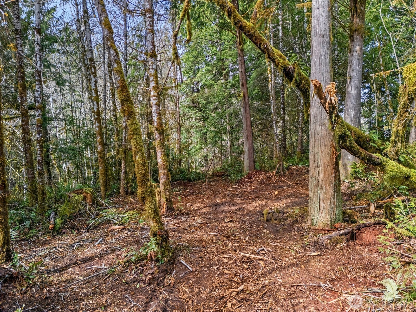 4 Xx Se Sea Der Hok Lane Property Photo 19
