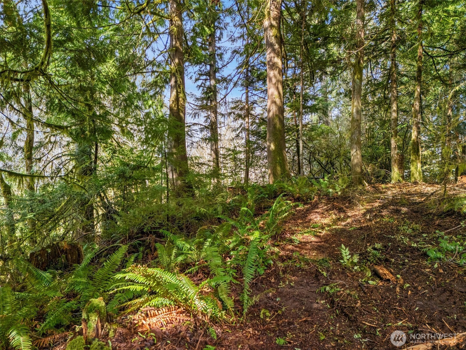 4 Xx Se Sea Der Hok Lane Property Photo 21