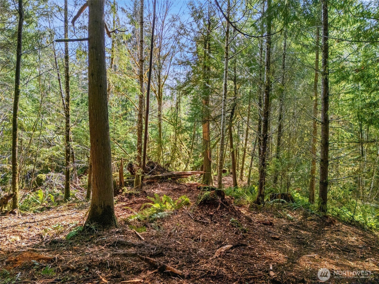 4 Xx Se Sea Der Hok Lane Property Photo 24