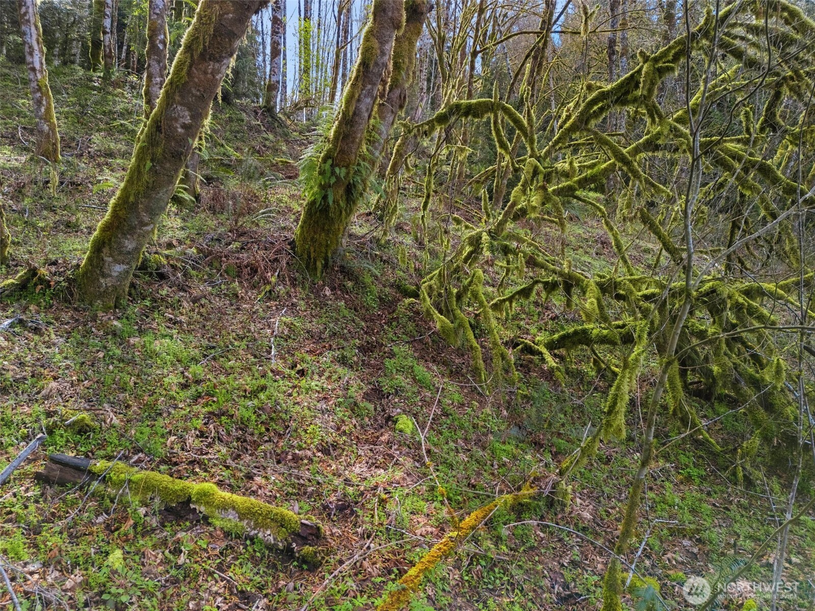 4 Xx Se Sea Der Hok Lane Property Photo 29