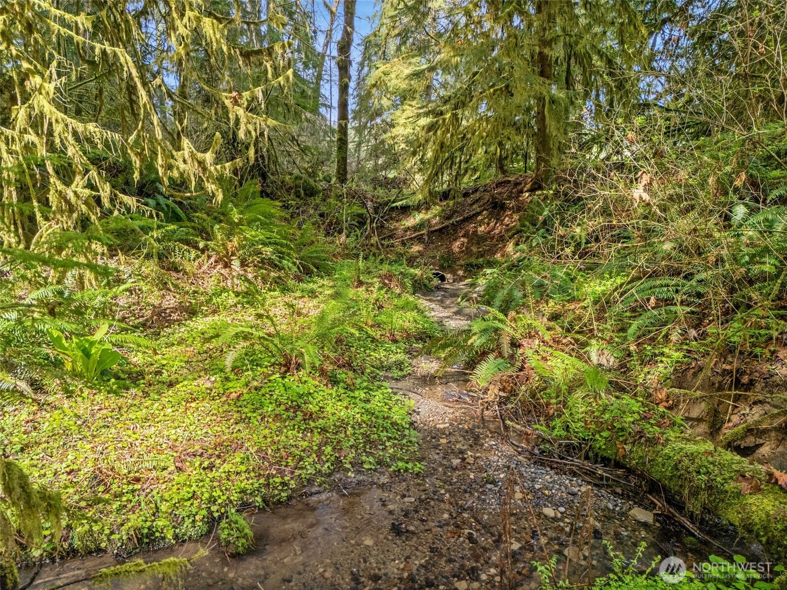4 Xx Se Sea Der Hok Lane Property Photo 30