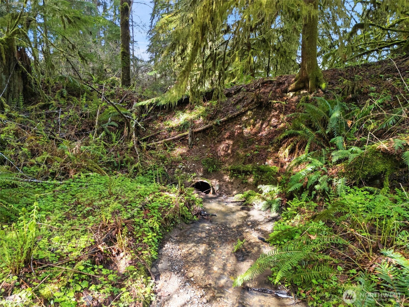 4 Xx Se Sea Der Hok Lane Property Photo 31