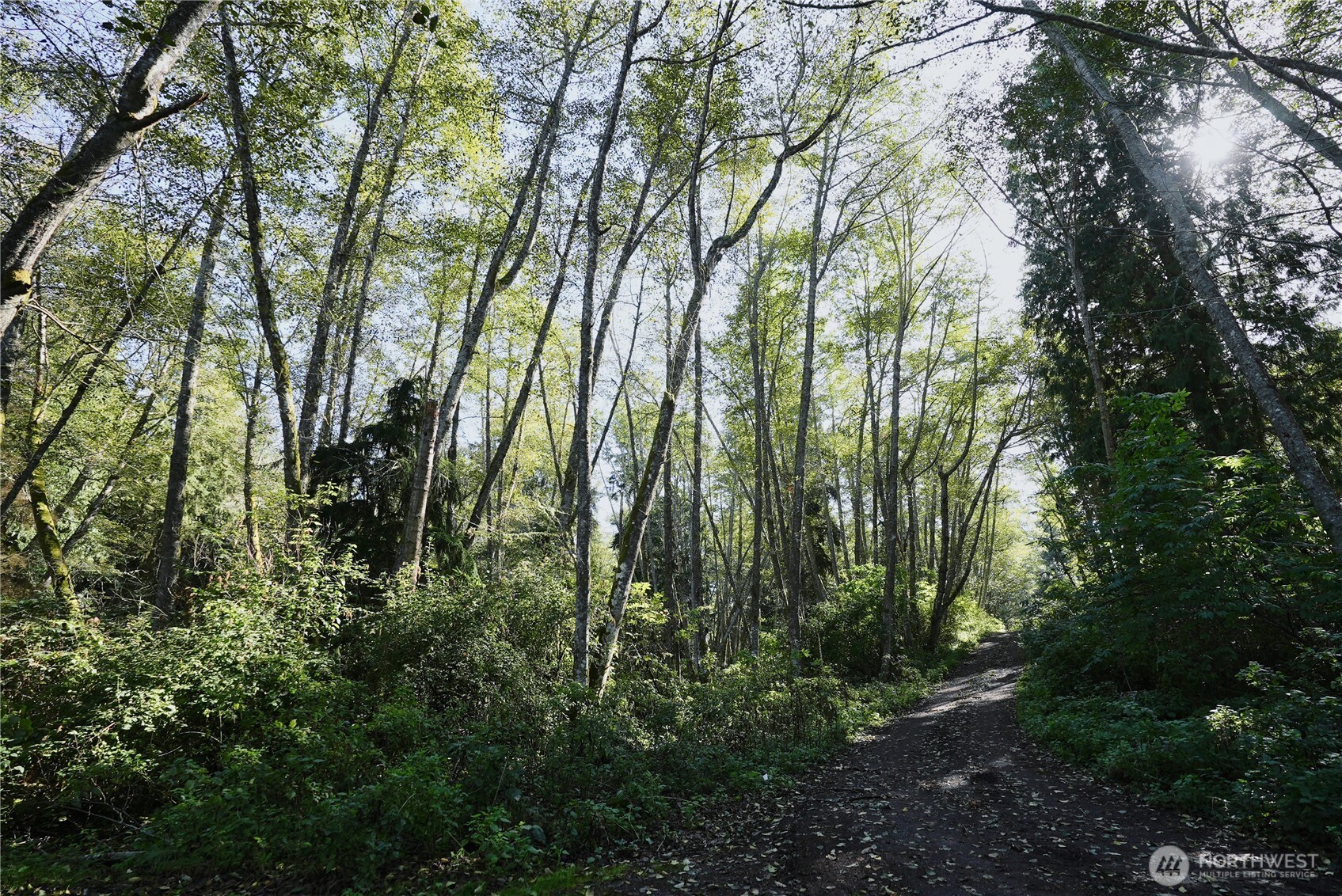 0 Leroy Circle Property Photo 2