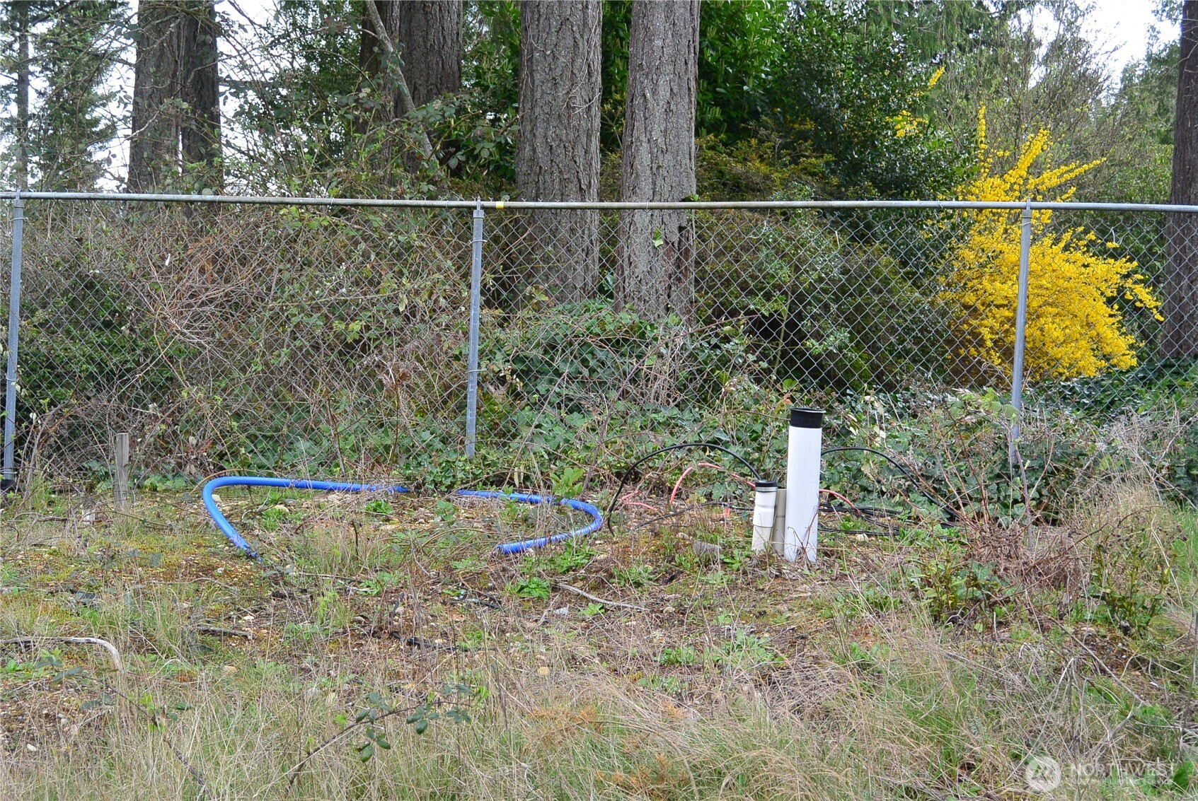 1988 Rampart Ridge Court Property Photo 3