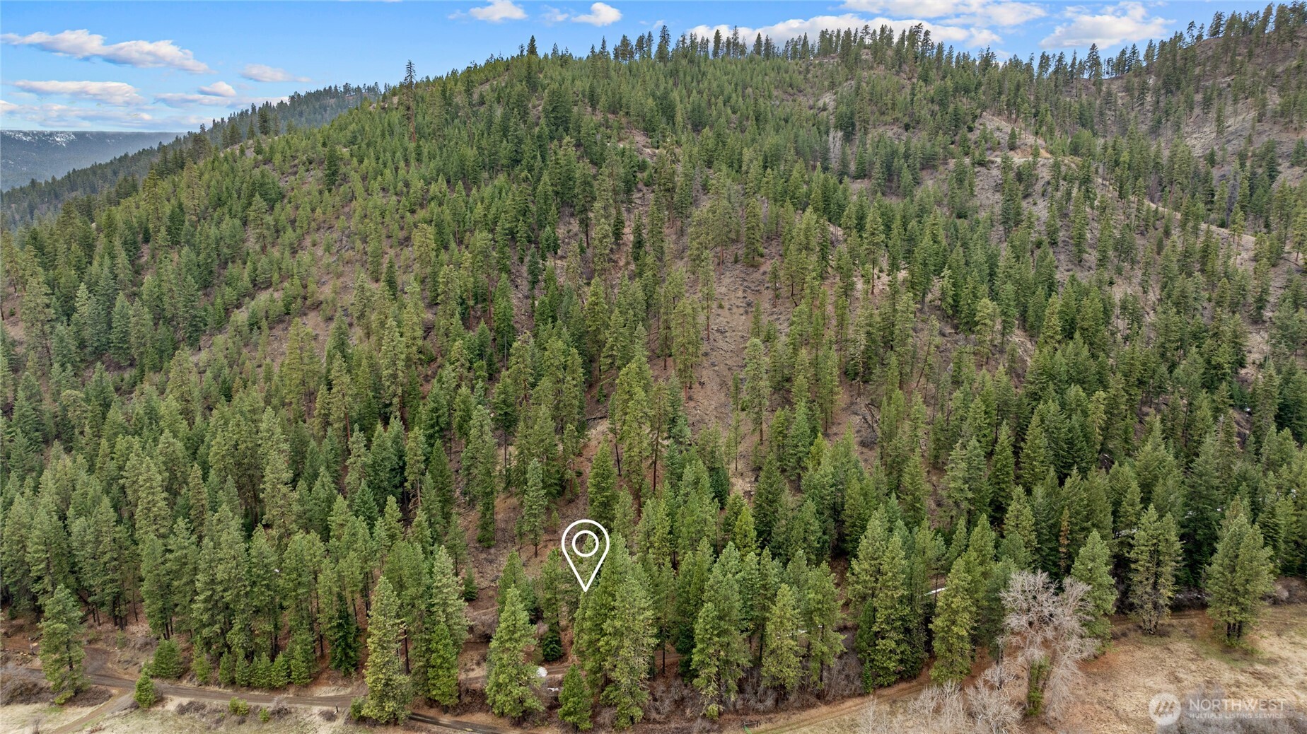 11 Cougar Gulch Road Property Photo 1