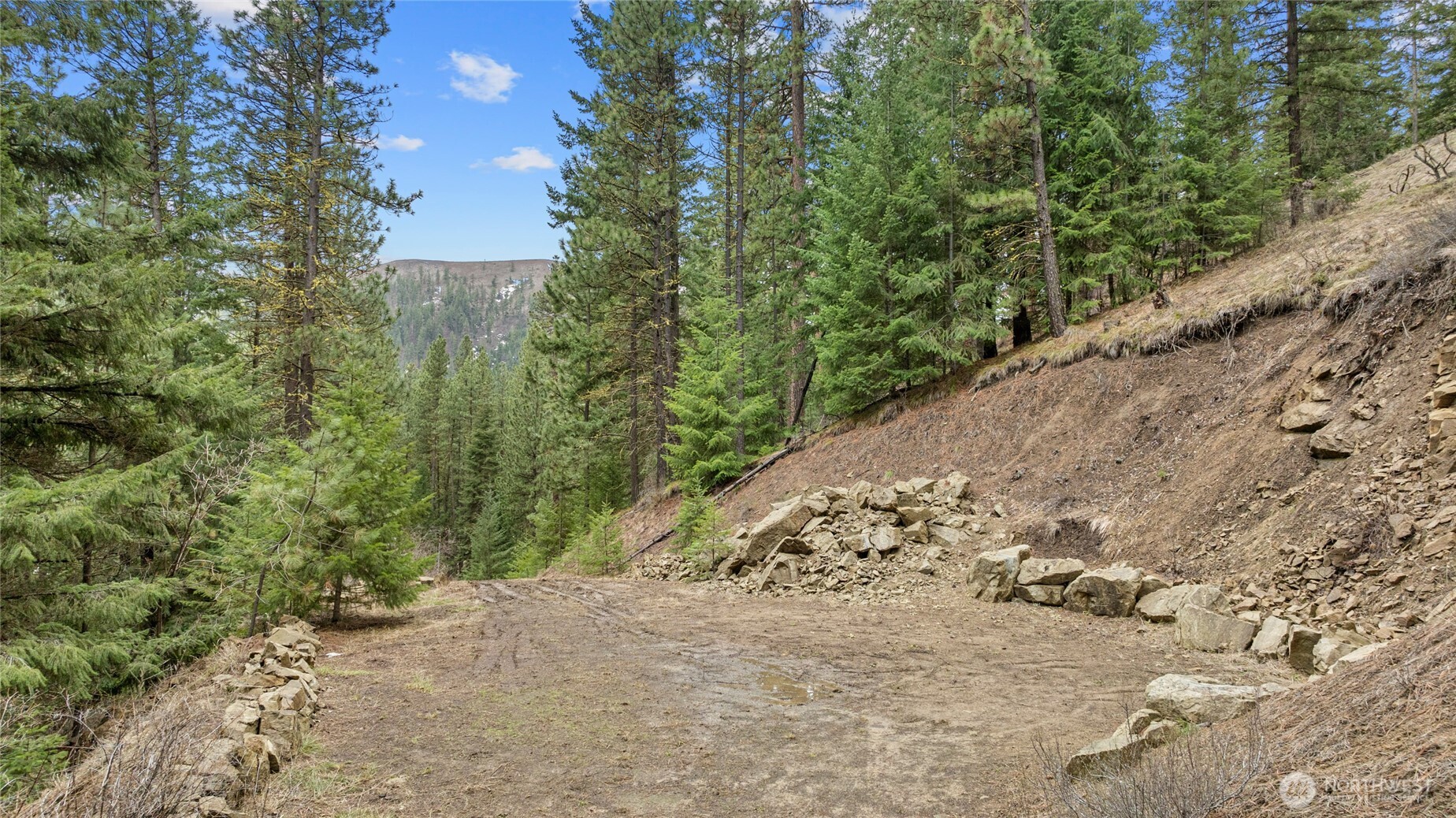 11 Cougar Gulch Road Property Photo 2