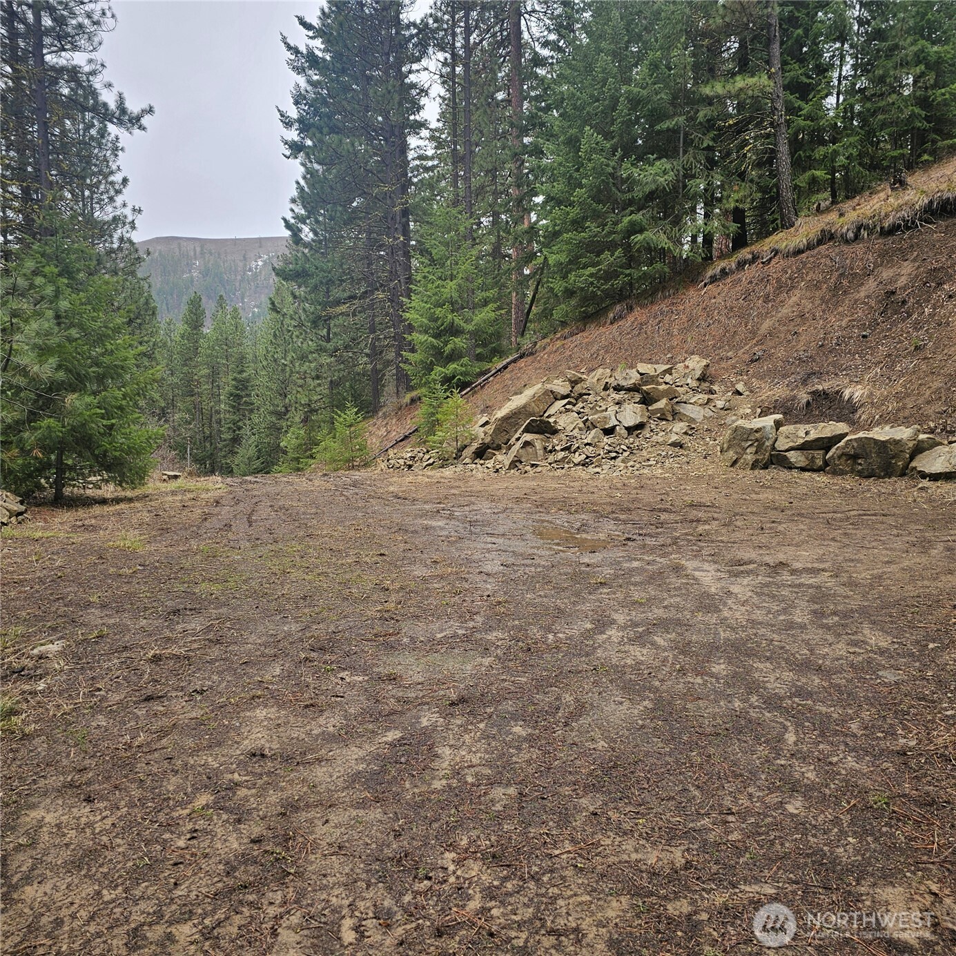 11 Cougar Gulch Road Property Photo 8