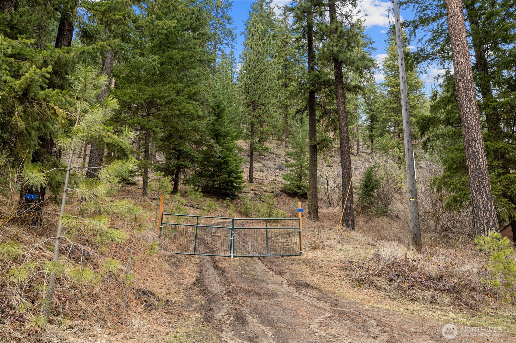11 Cougar Gulch Road Property Photo 10