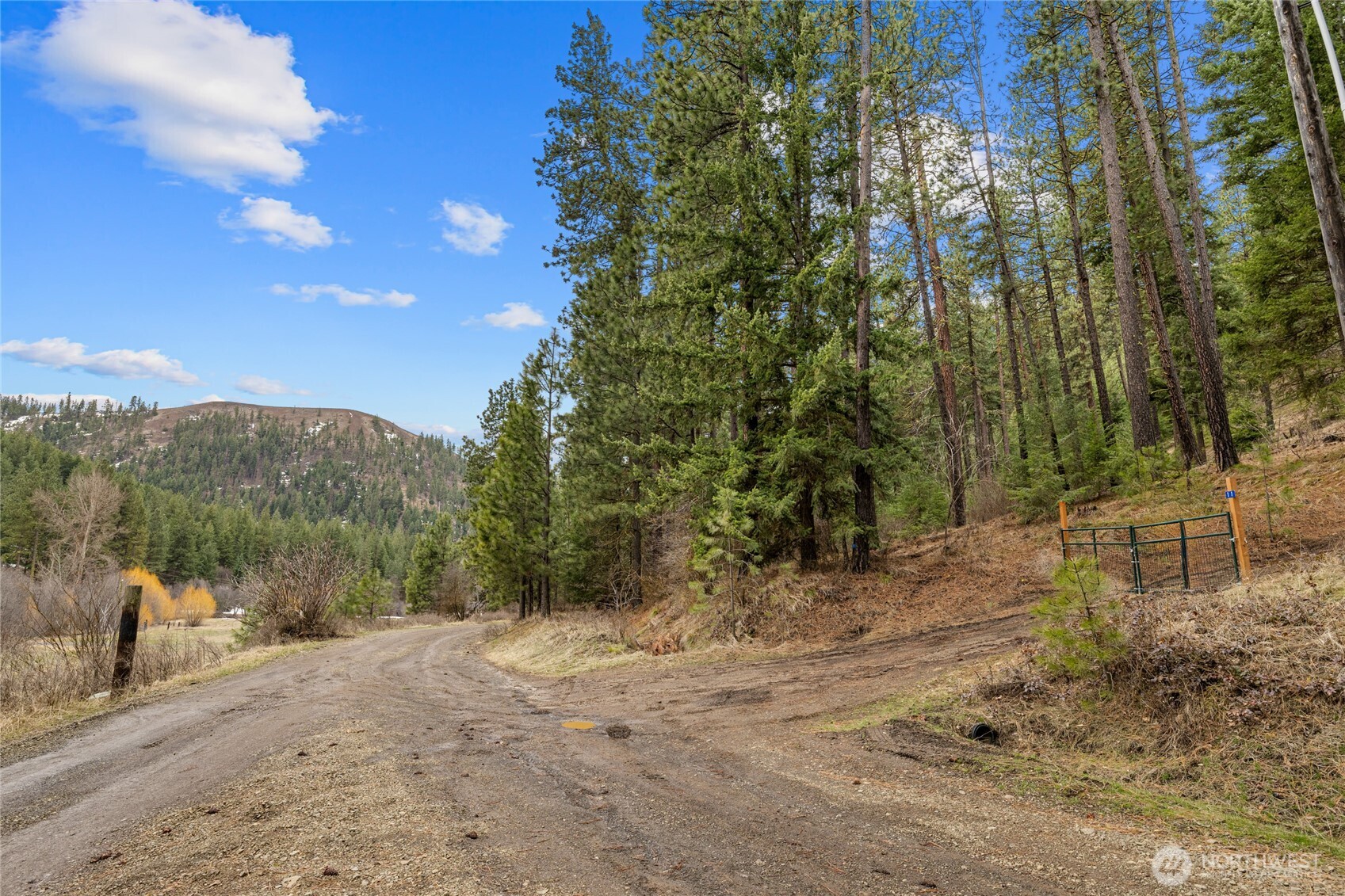 11 Cougar Gulch Road Property Photo 11