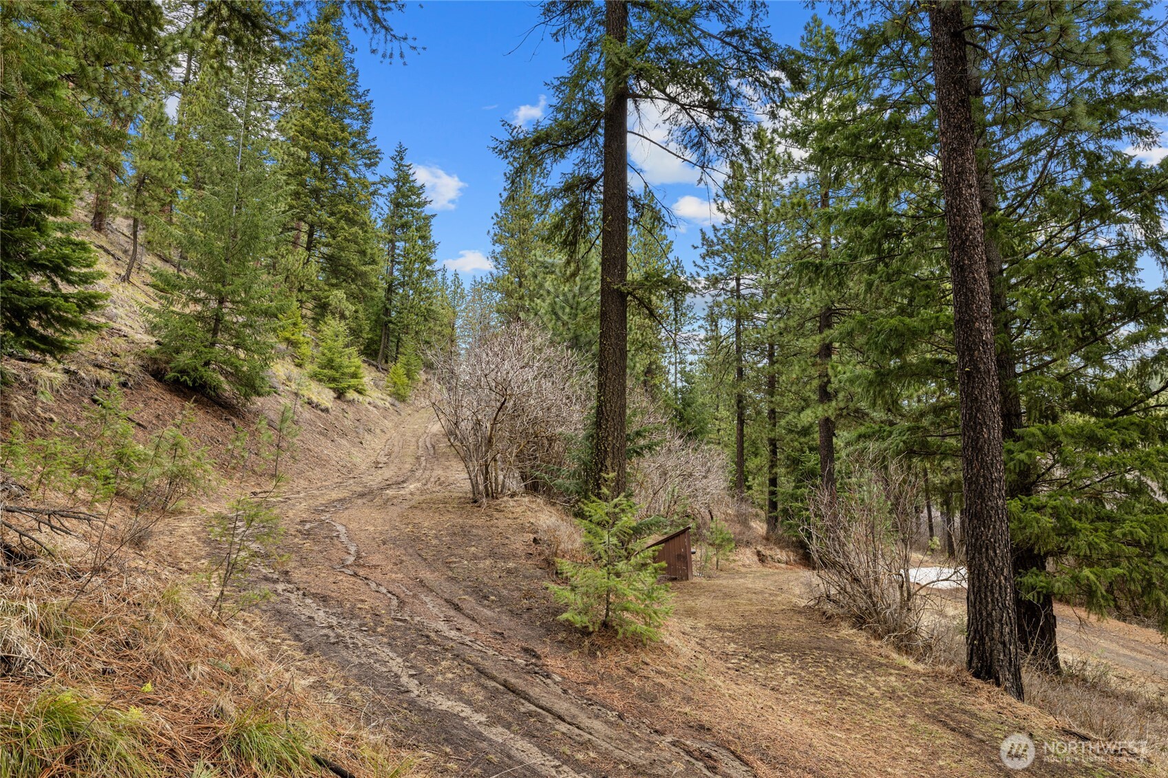 11 Cougar Gulch Road Property Photo 13