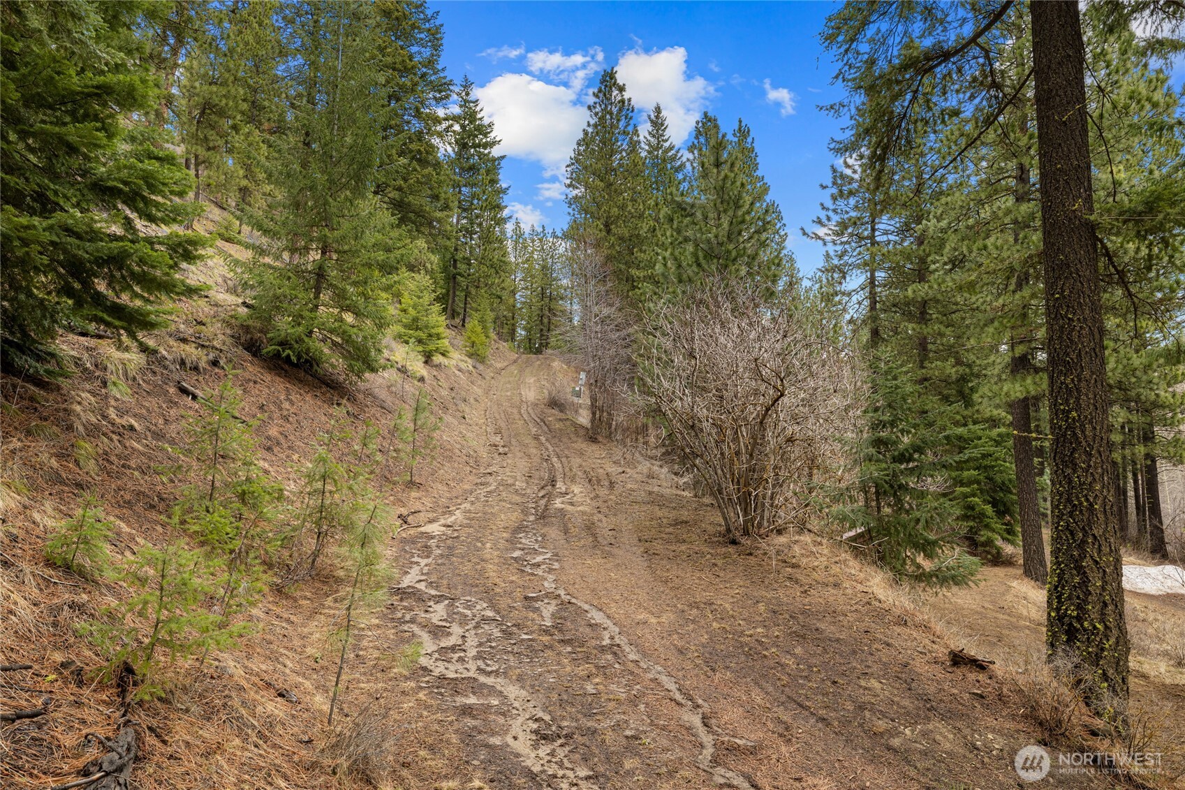 11 Cougar Gulch Road Property Photo 15