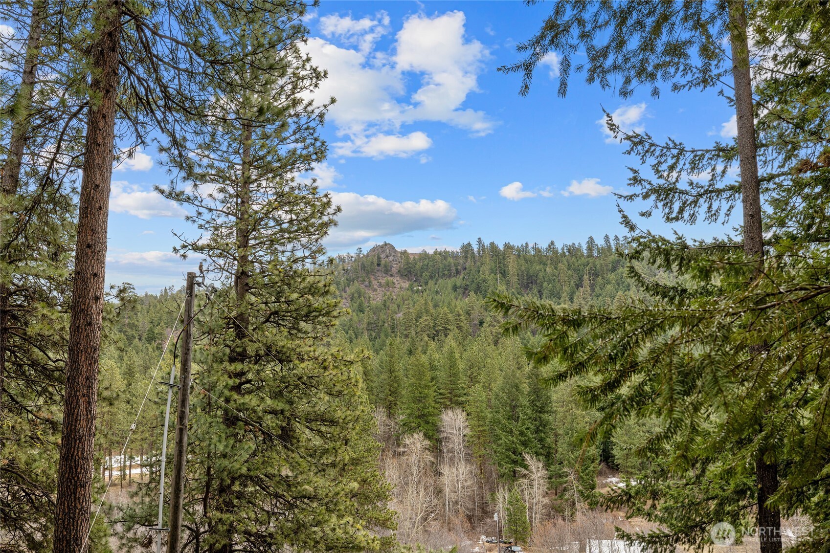 11 Cougar Gulch Road Property Photo 17