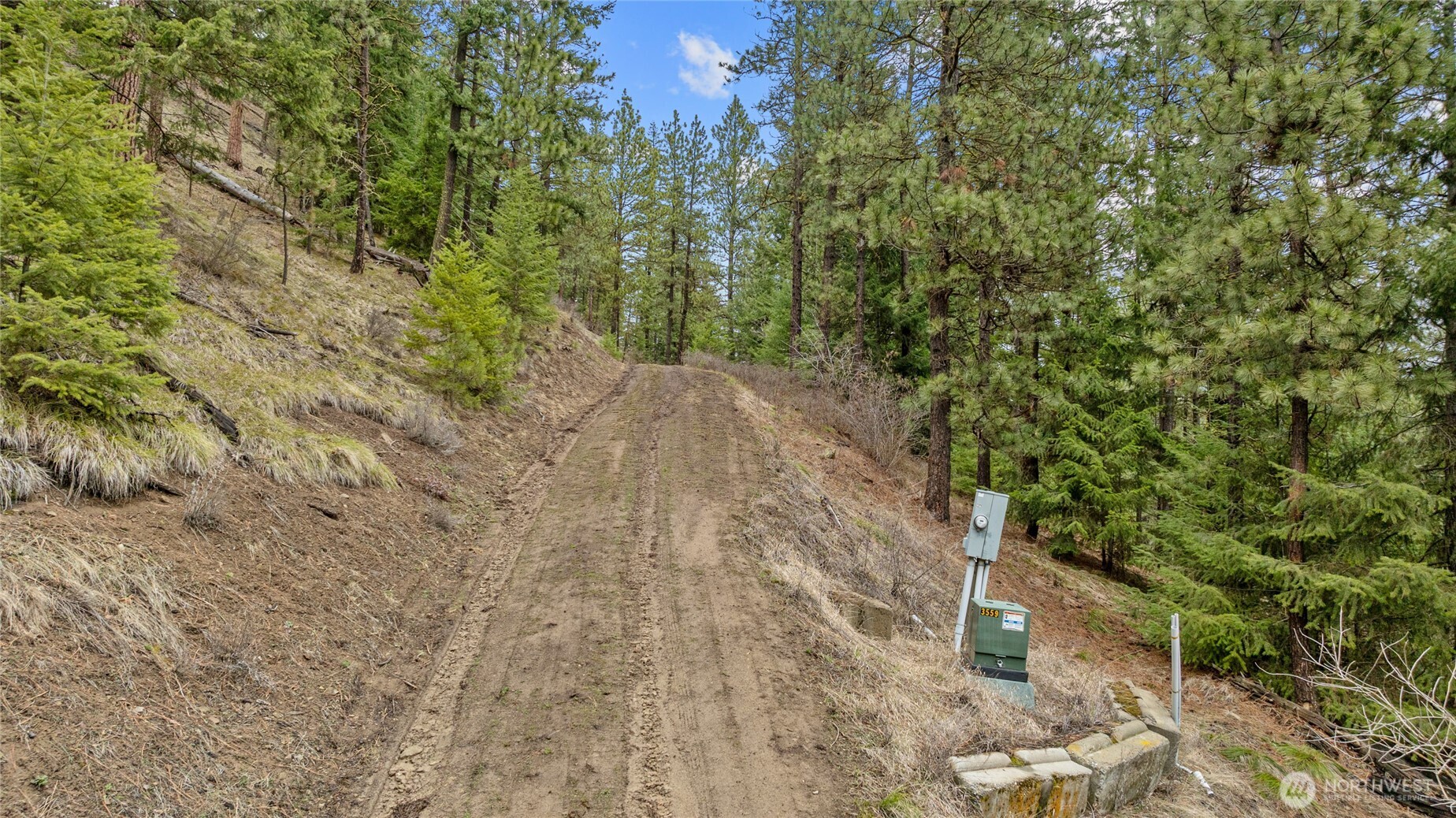 11 Cougar Gulch Road Property Photo 18