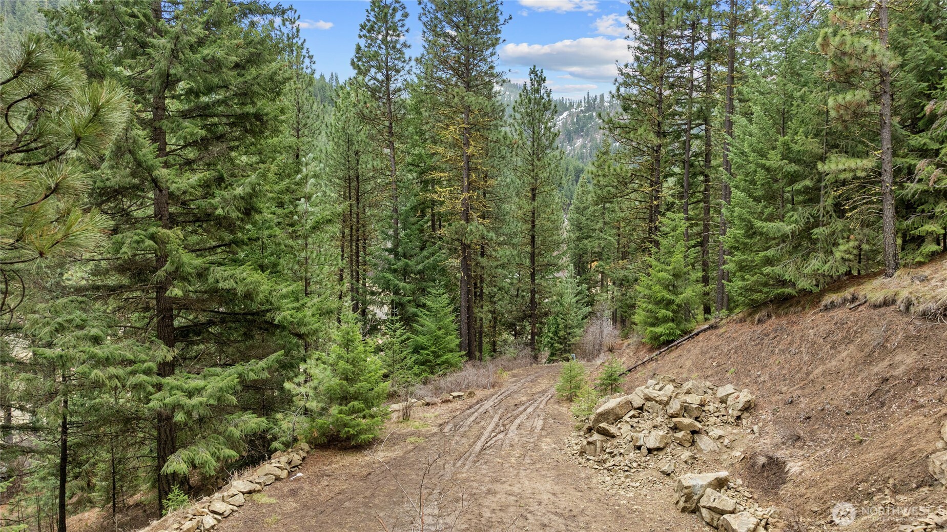 11 Cougar Gulch Road Property Photo 20