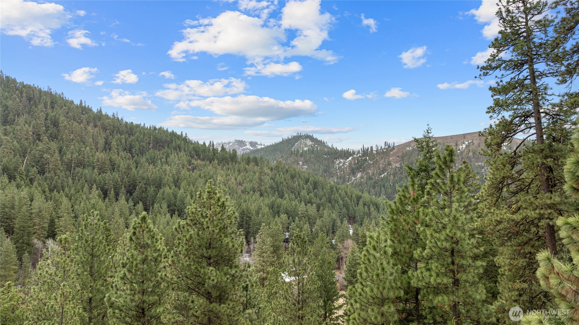 11 Cougar Gulch Road Property Photo 21