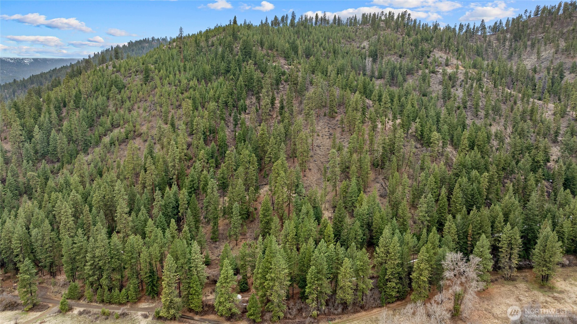 11 Cougar Gulch Road Property Photo 22