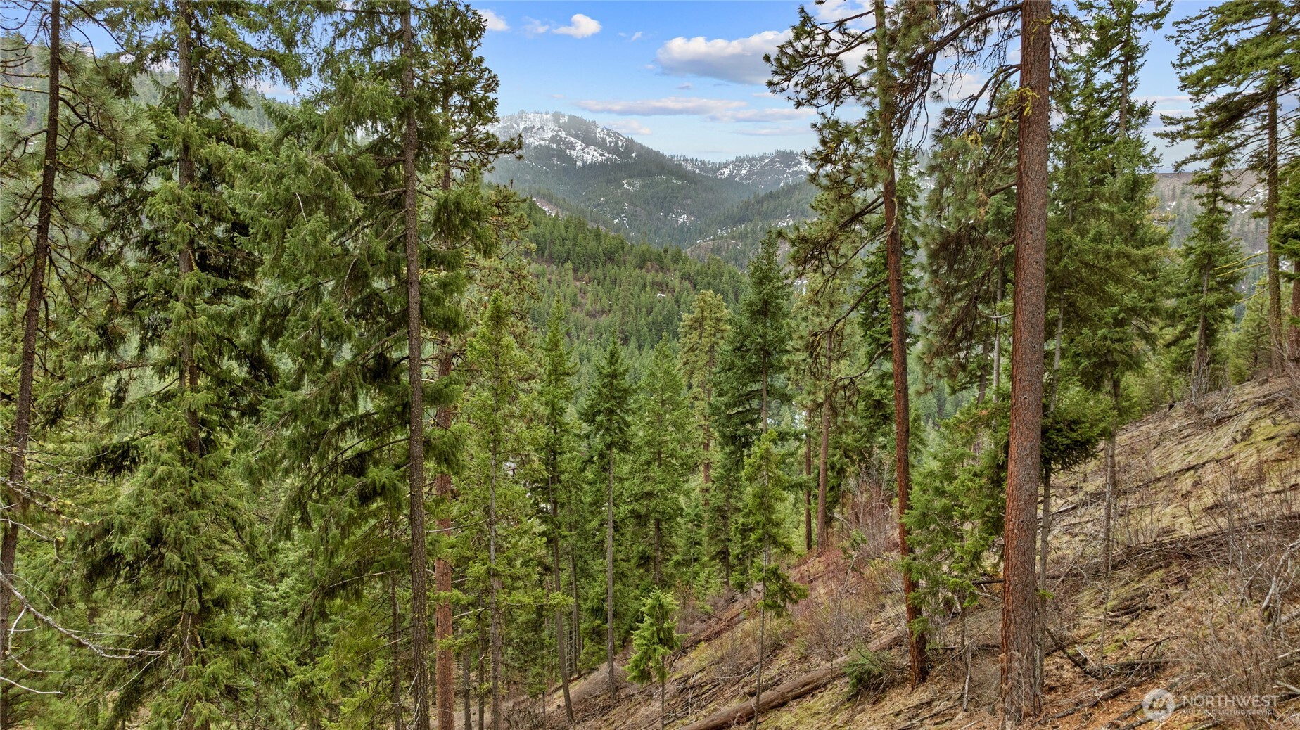 11 Cougar Gulch Road Property Photo 28