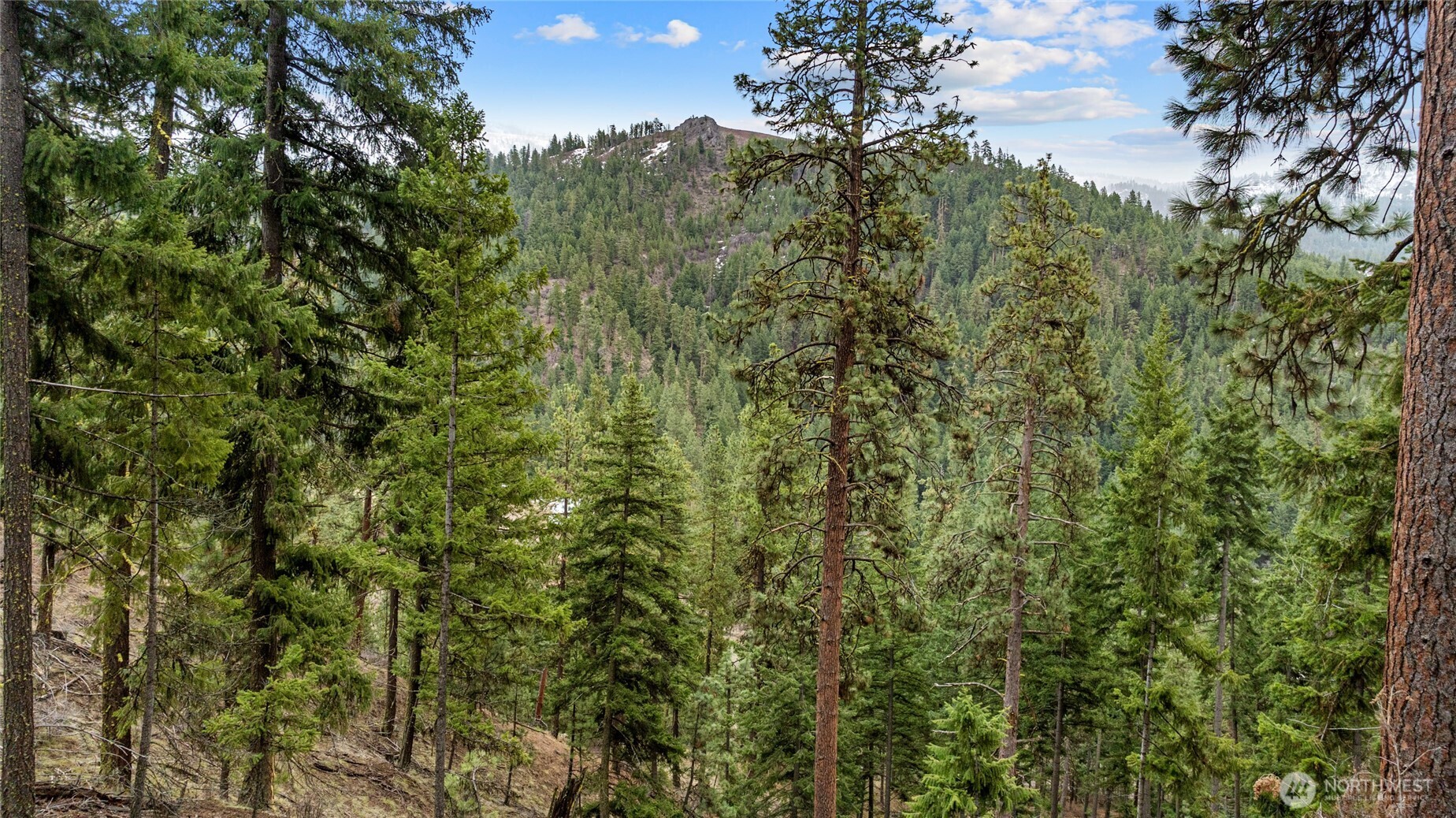 11 Cougar Gulch Road Property Photo 29