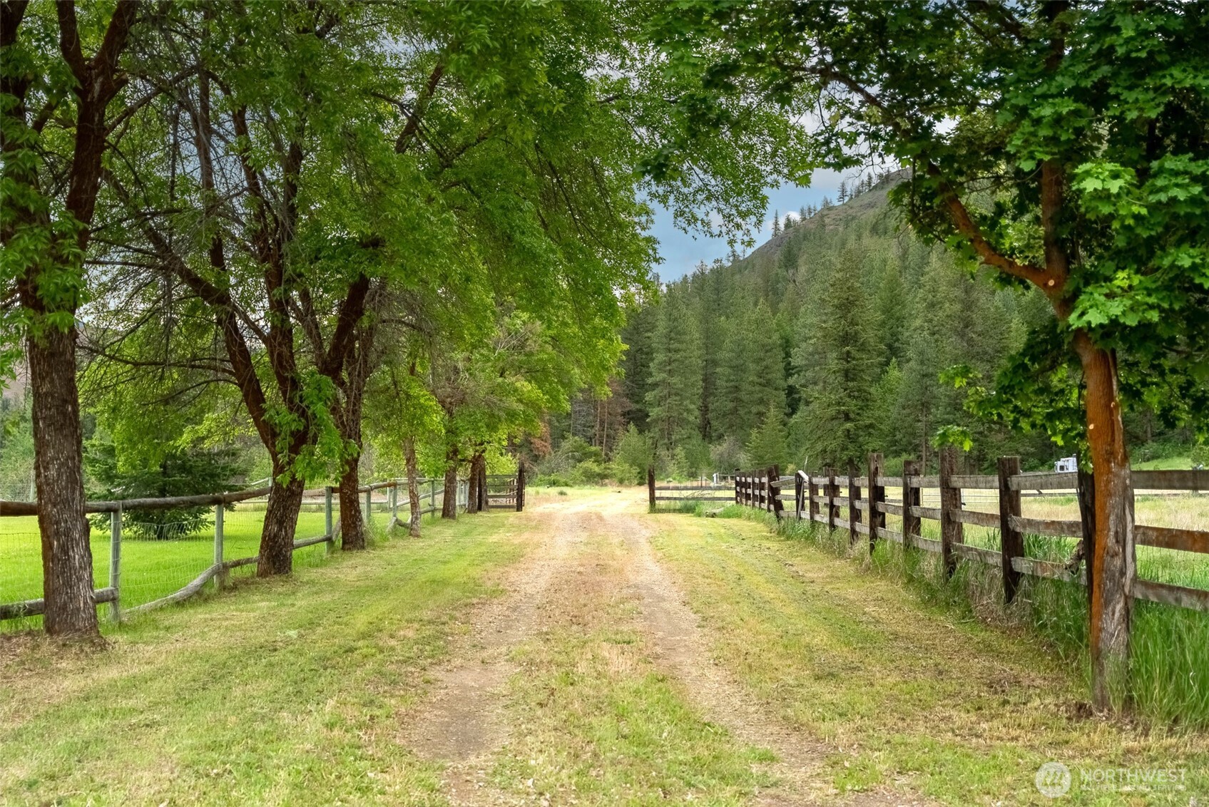 99 Poorman Creek Road Property Photo 2
