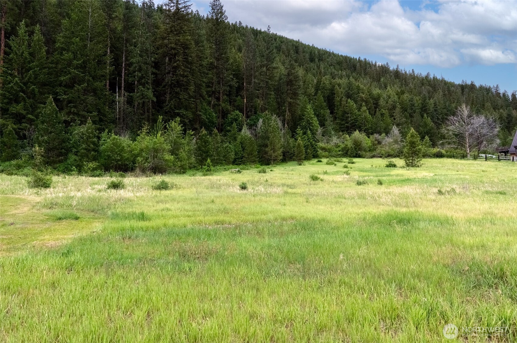 99 Poorman Creek Road Property Photo 12