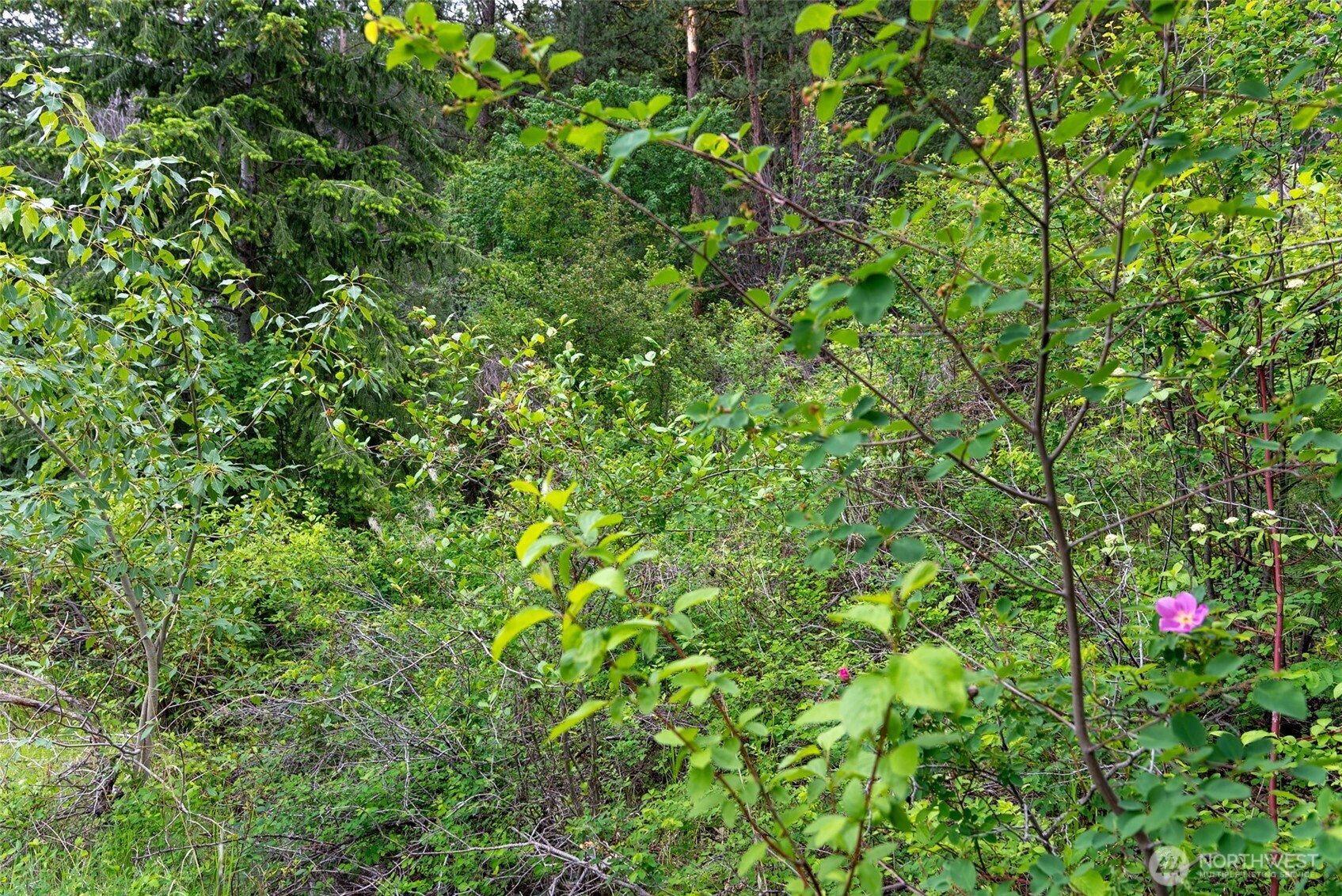 99 Poorman Creek Road Property Photo 13