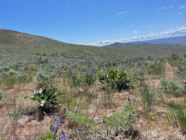 0 Lot 59 Bill Shaw Road Property Photo 1