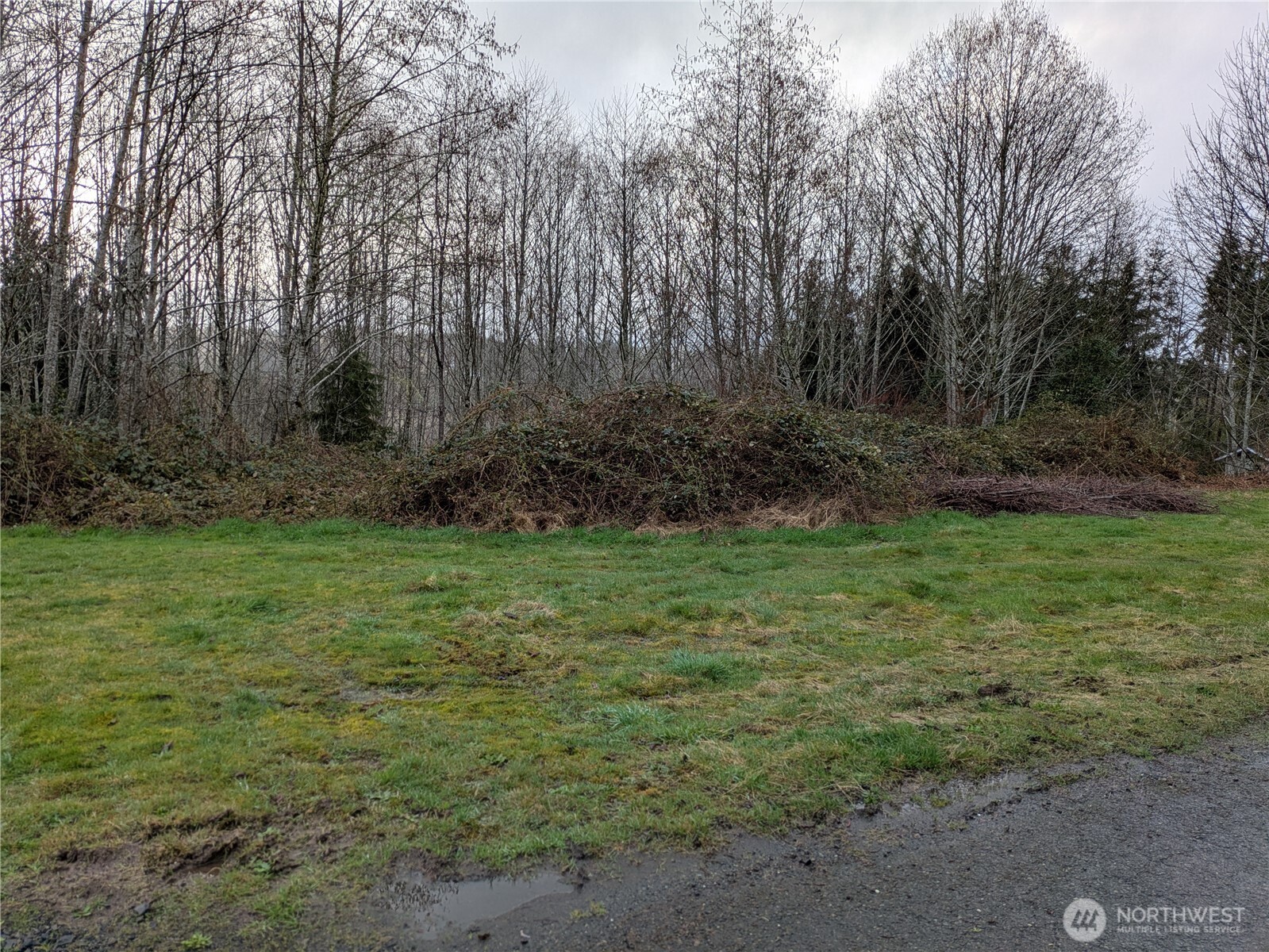 1631 Olympic Street Property Photo 1