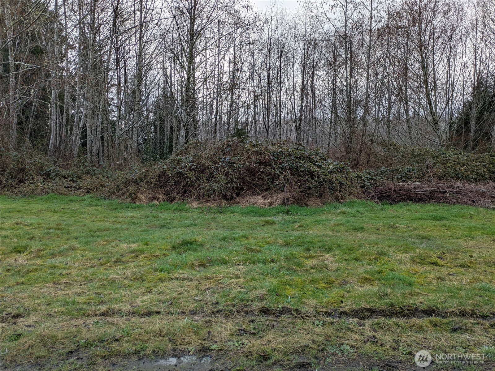 1631 Olympic Street Property Photo 2