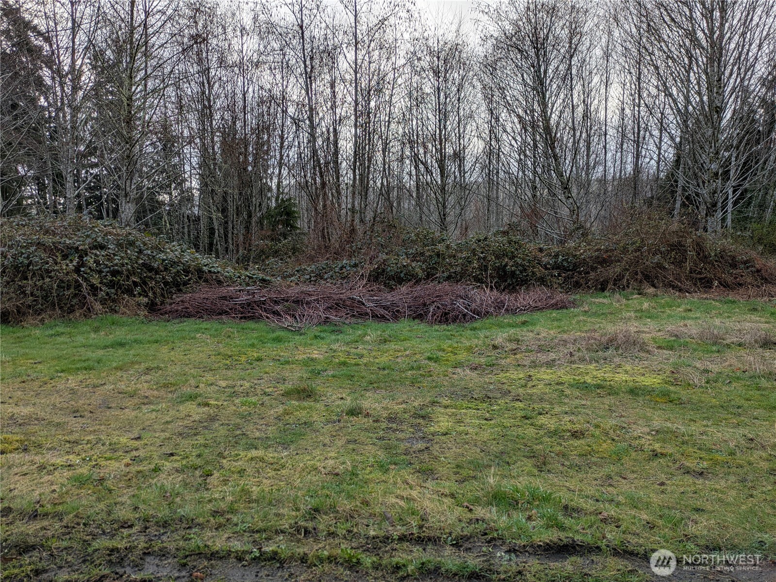 1631 Olympic Street Property Photo 3
