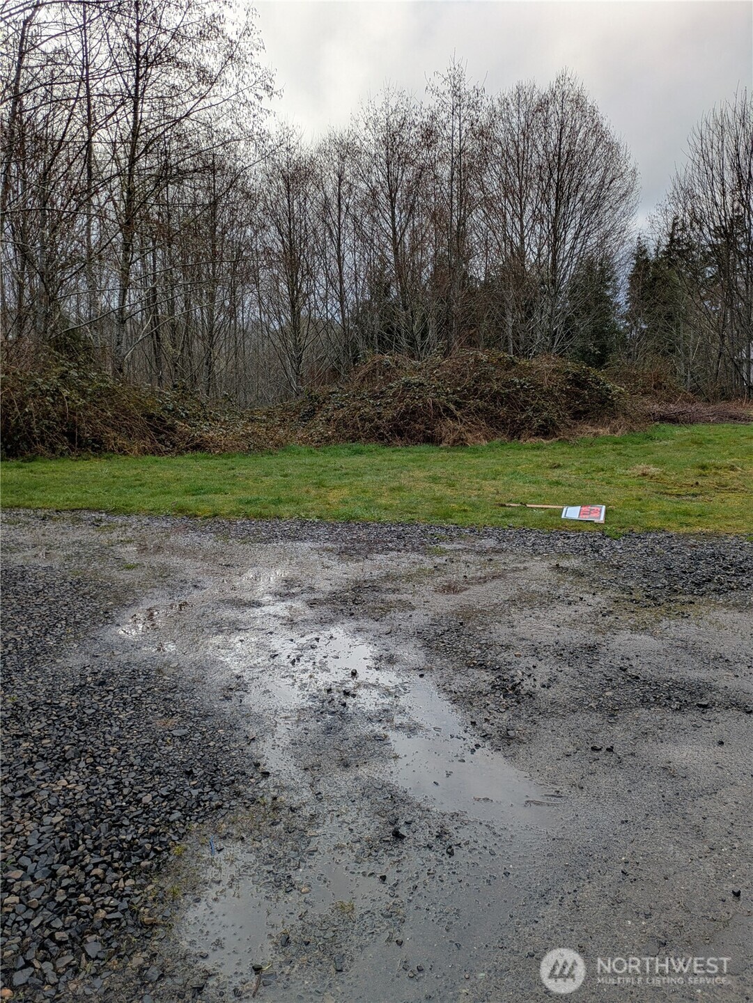 1631 Olympic Street Property Photo 4