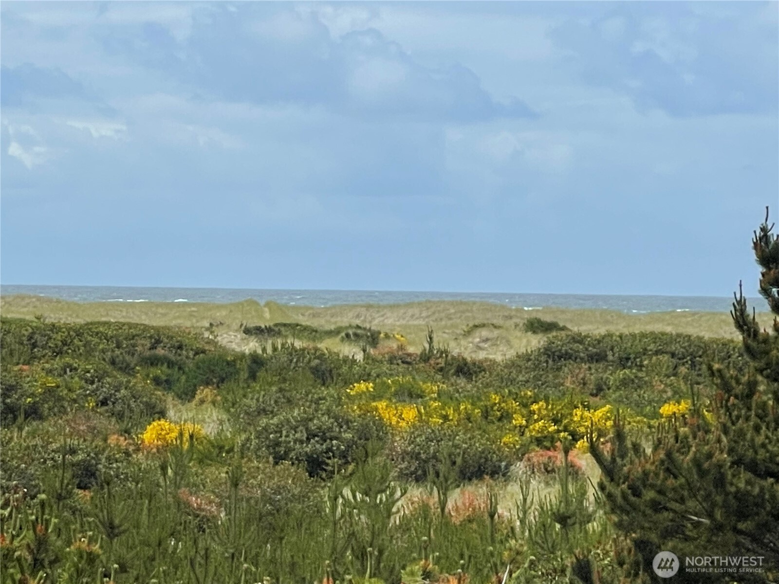 855 S Sand Dune Avenue Property Photo
