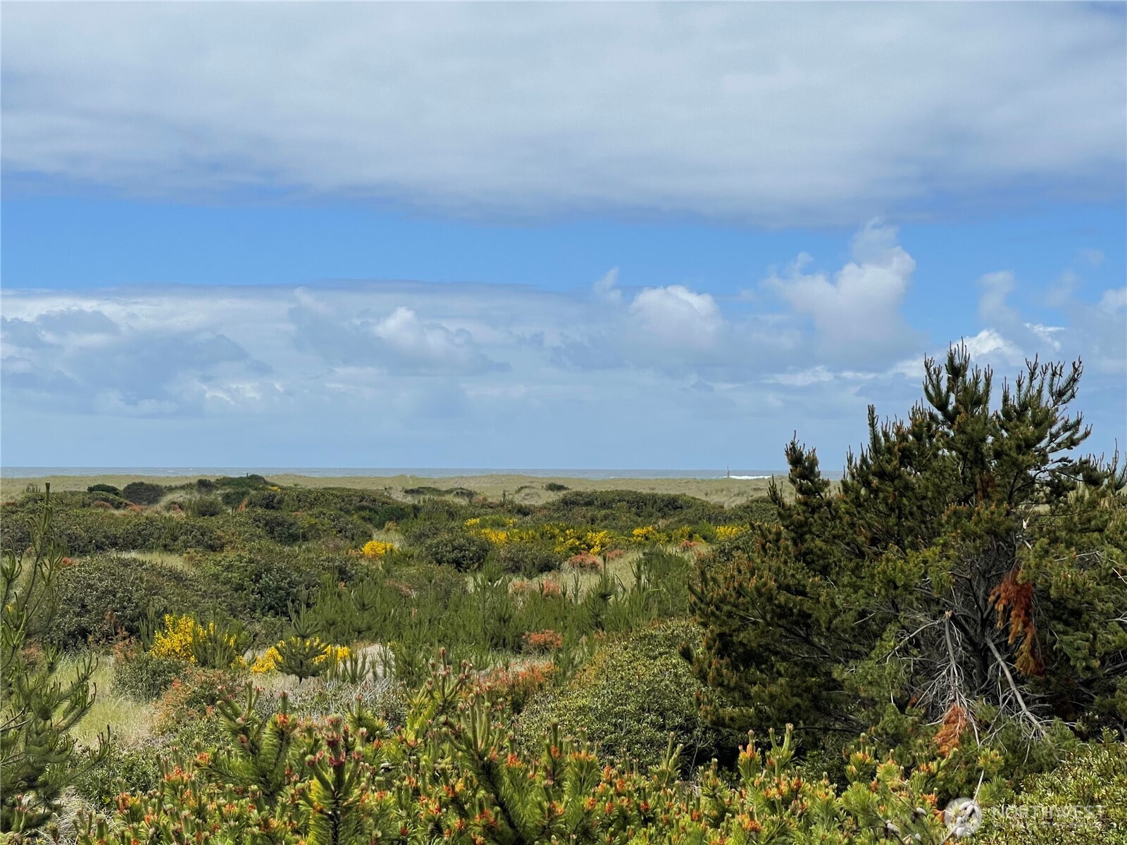 855 S Sand Dune Avenue Property Photo 2