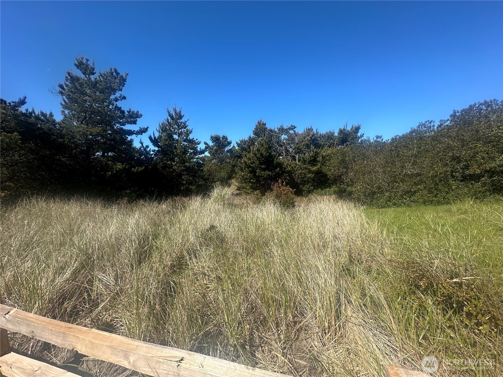 855 S Sand Dune Avenue Property Photo 8