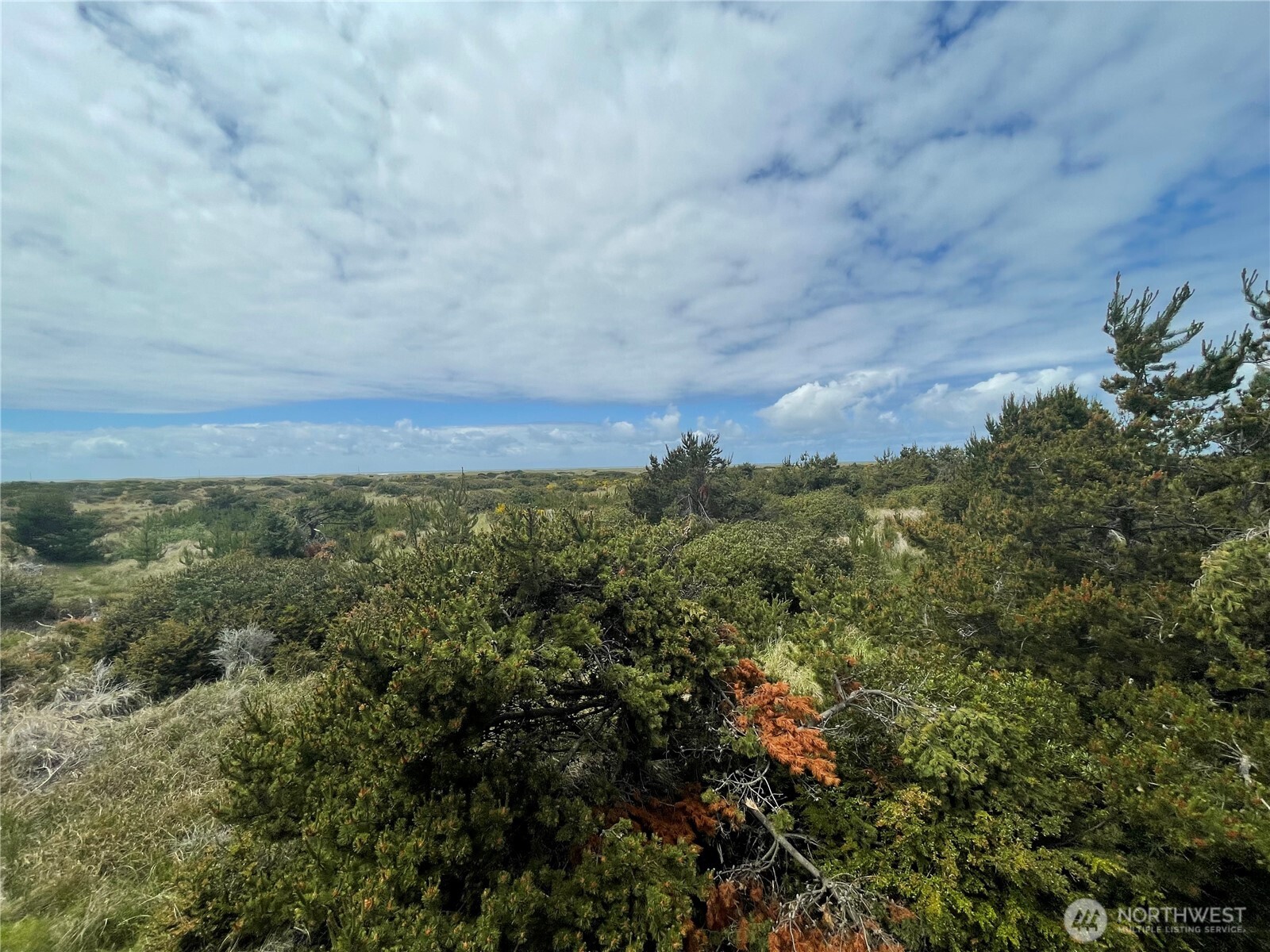 855 S Sand Dune Avenue Property Photo 13