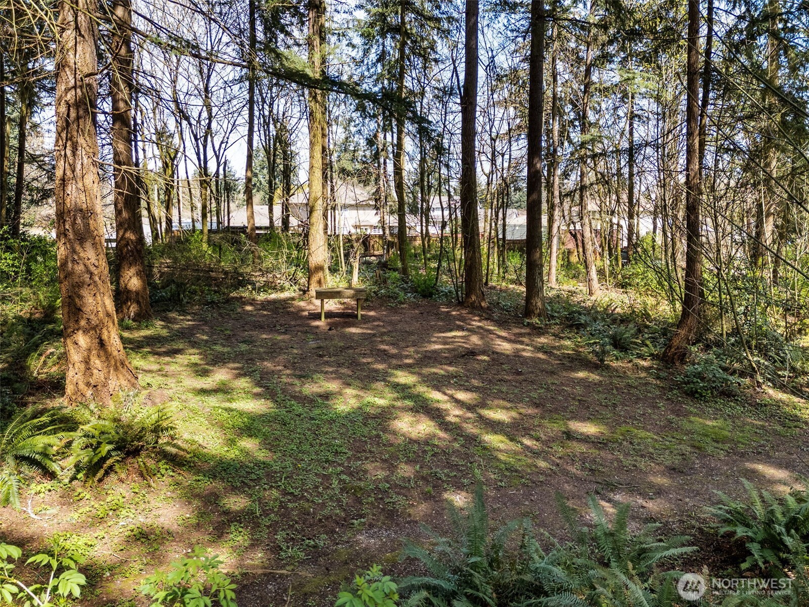 34249 21st Avenue Property Photo 11