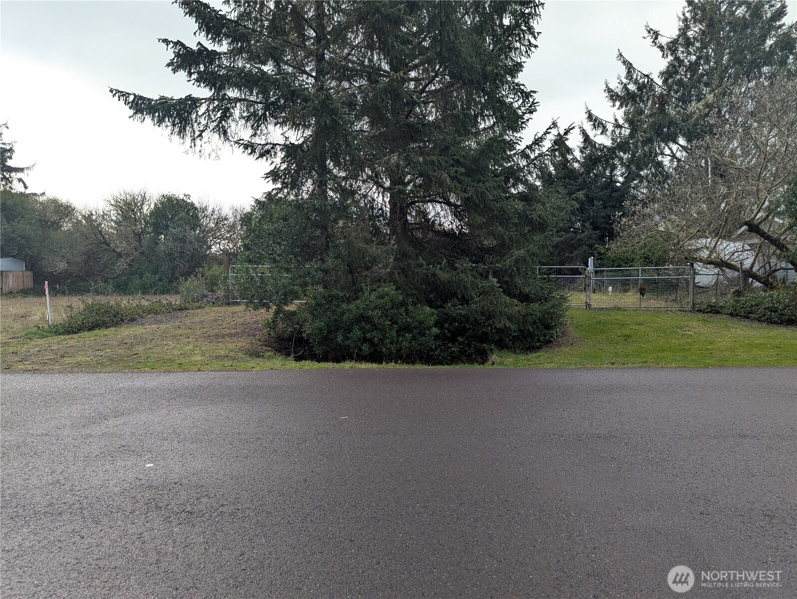 137 Bufflehead Street Property Photo 2
