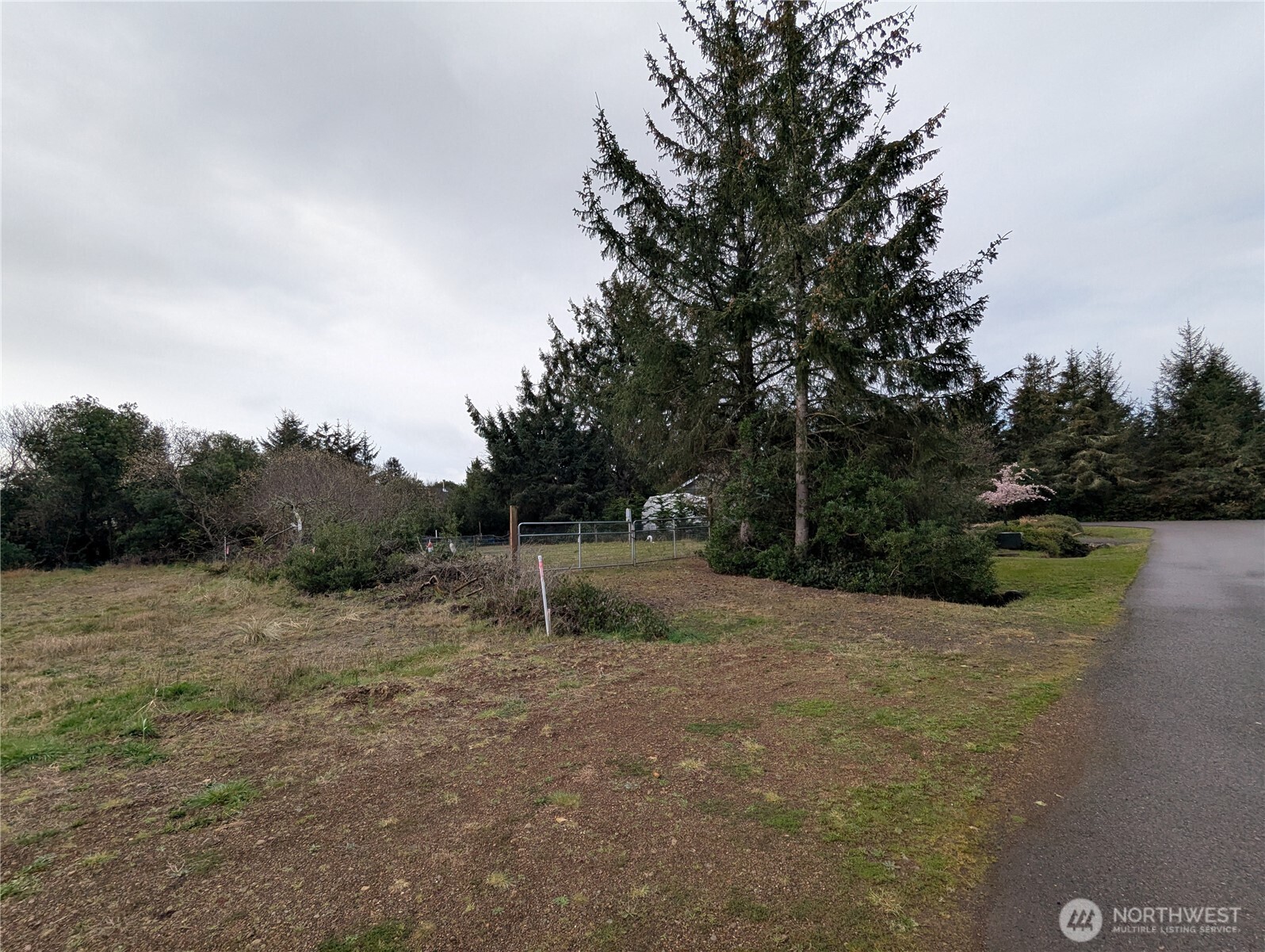 137 Bufflehead Street Property Photo 3