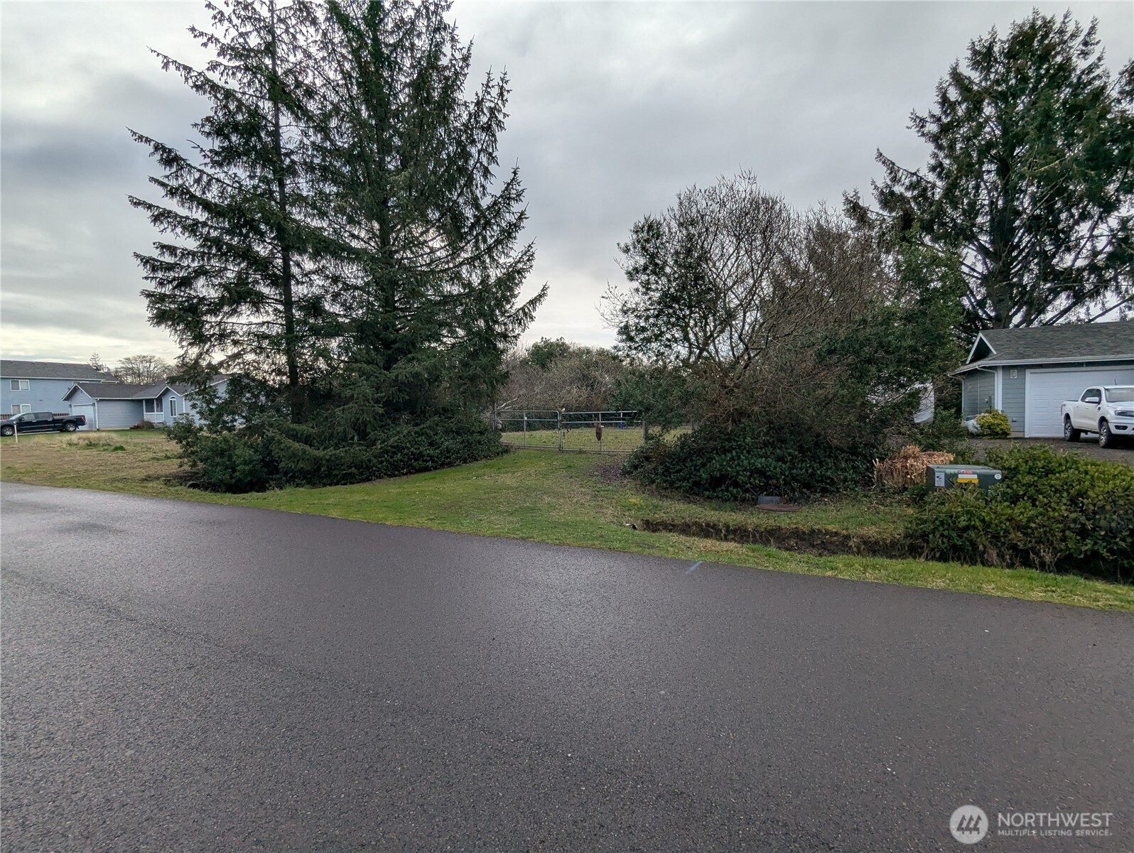 137 Bufflehead Street Property Photo 4