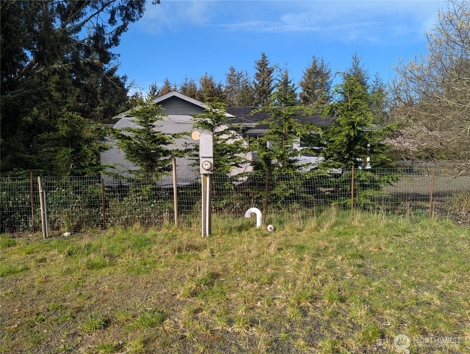 137 Bufflehead Street Property Photo 8
