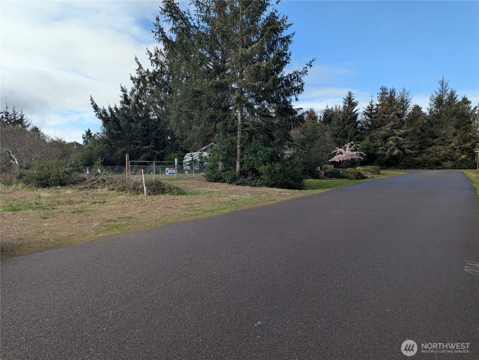 137 Bufflehead Street Property Photo 17