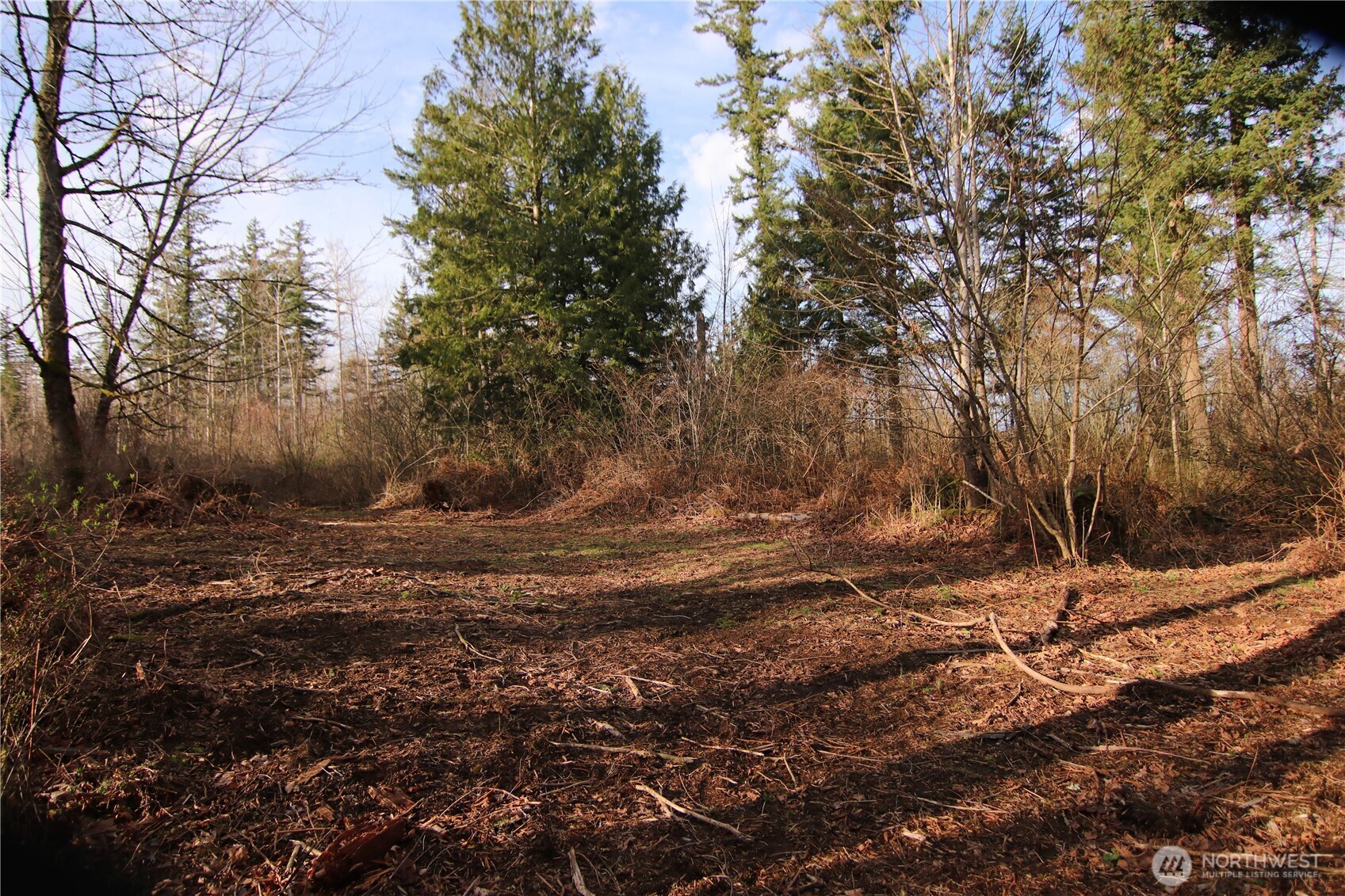 0 Goshen Road Property Photo 12