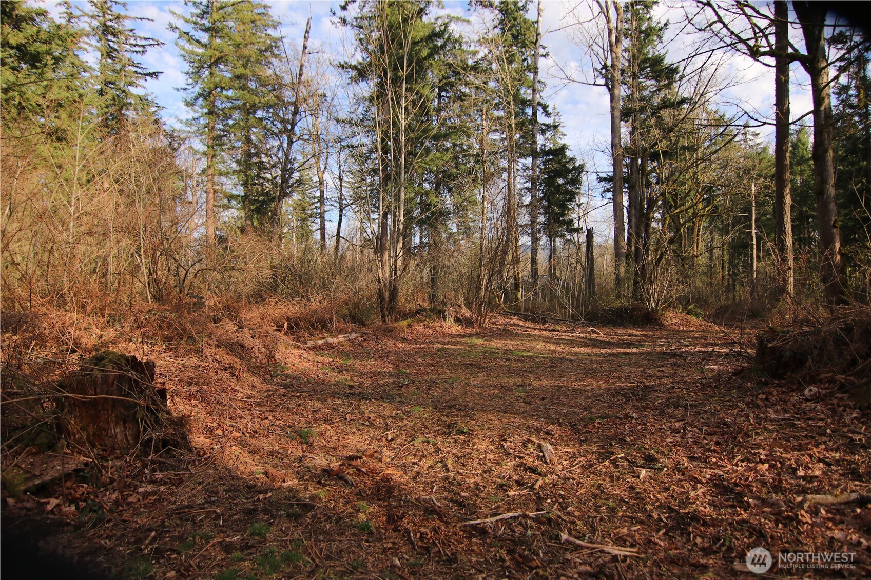 0 Goshen Road Property Photo 12