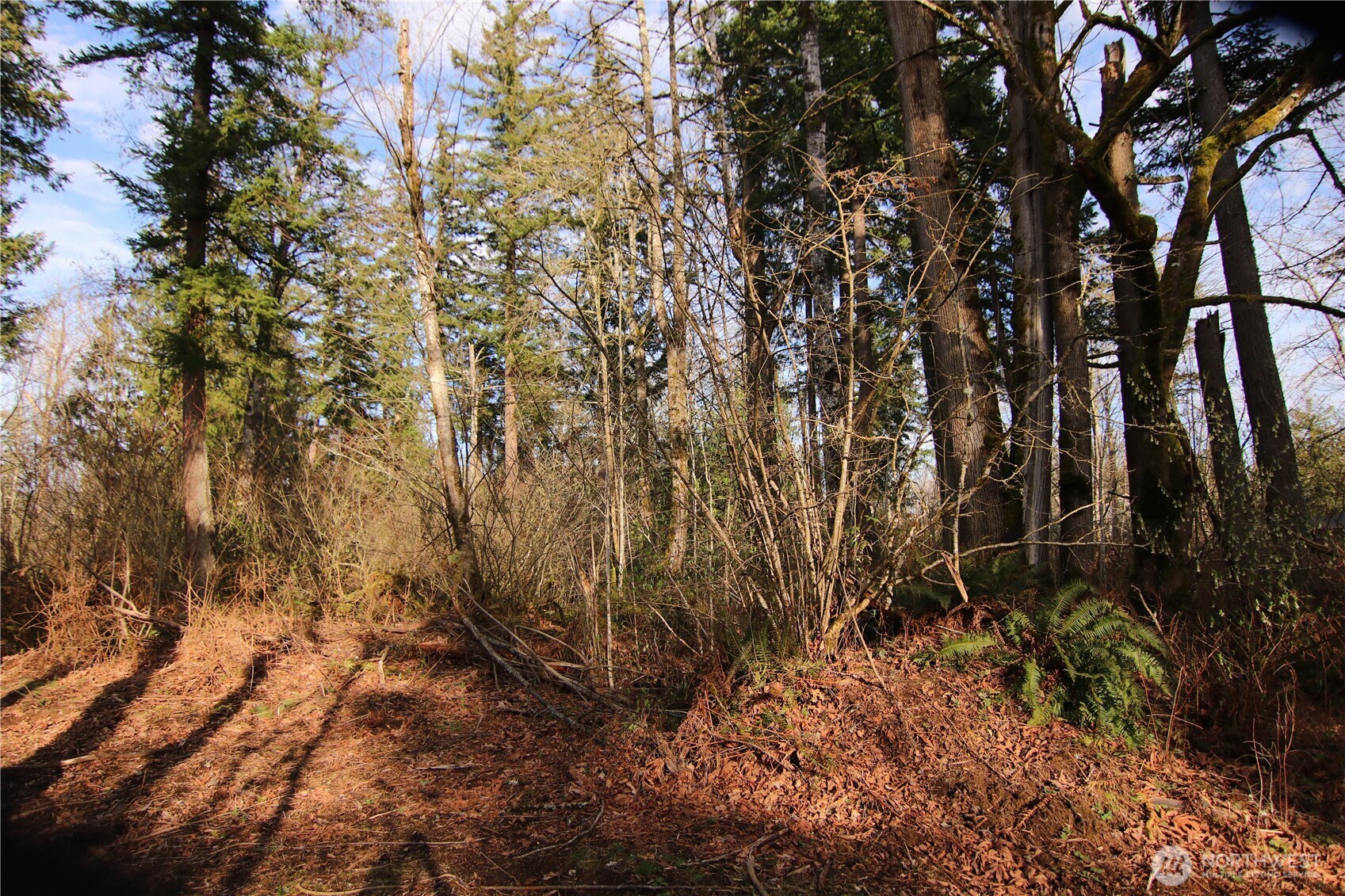 0 Goshen Road Property Photo 13