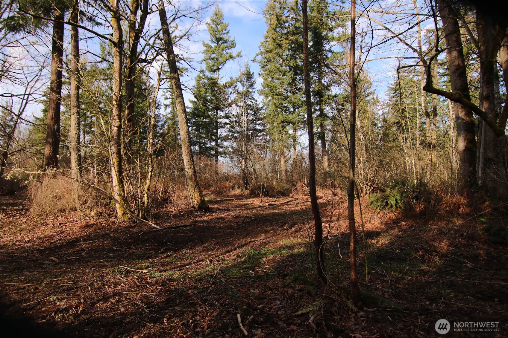 0 Goshen Road Property Photo 14