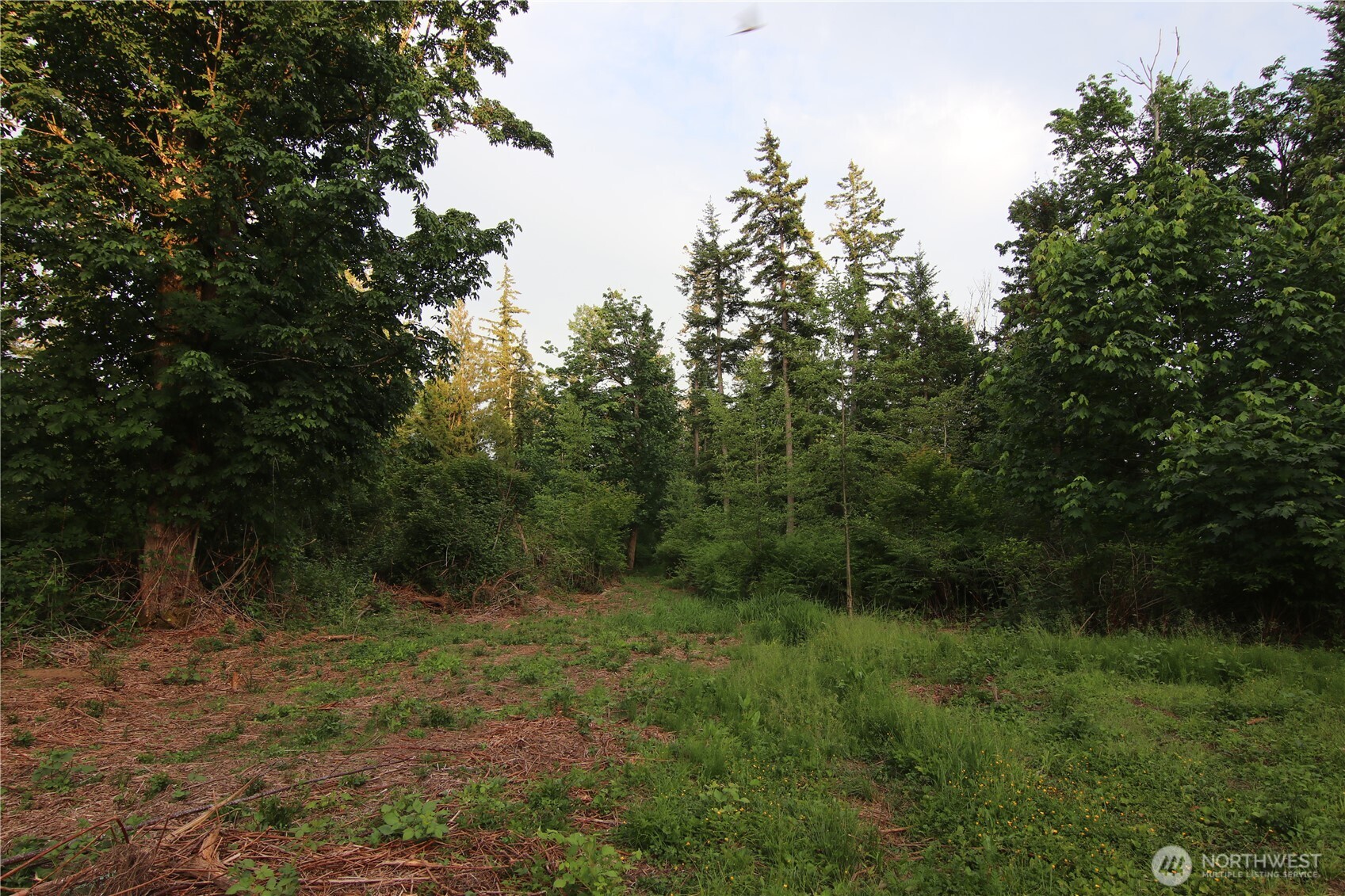 0 Goshen Road Property Photo 18