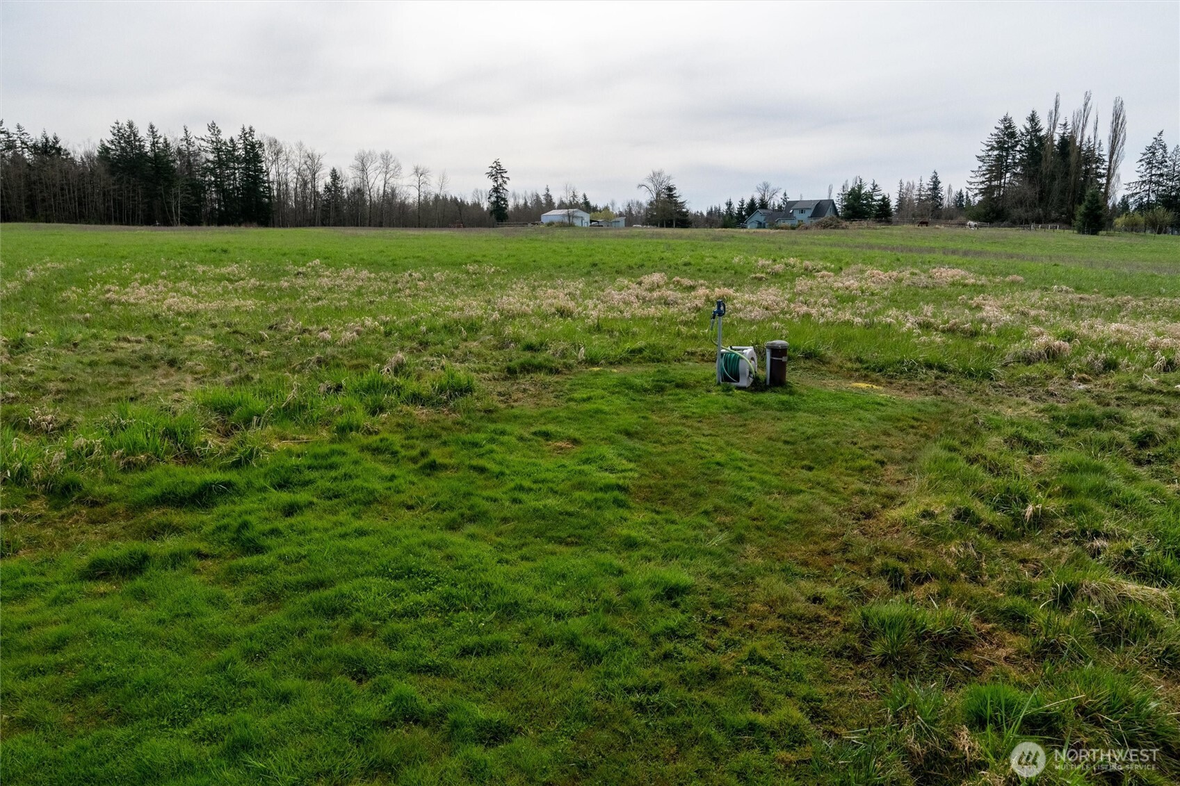 9790 Peace Road Property Photo 12
