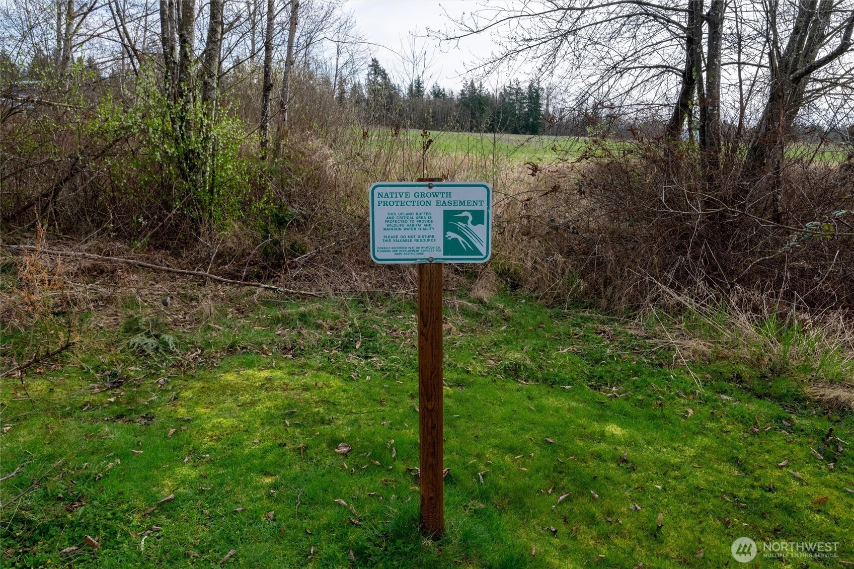 9790 Peace Road Property Photo 14