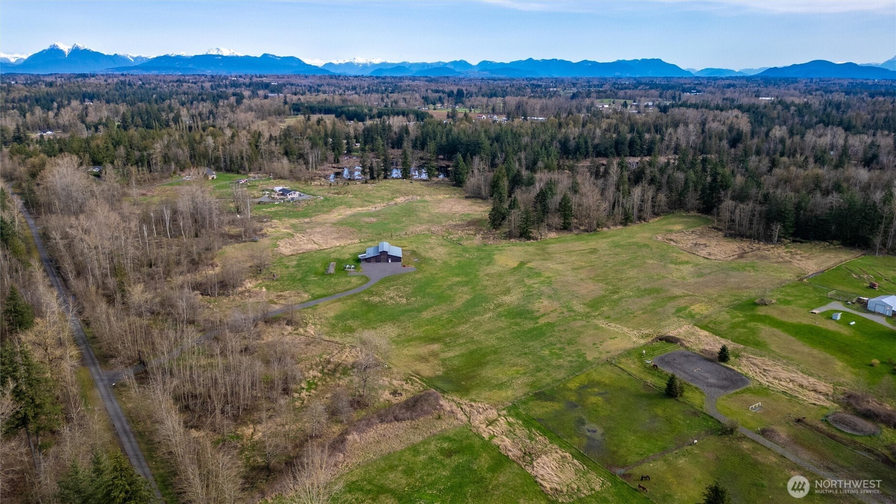 9790 Peace Road Property Photo 18