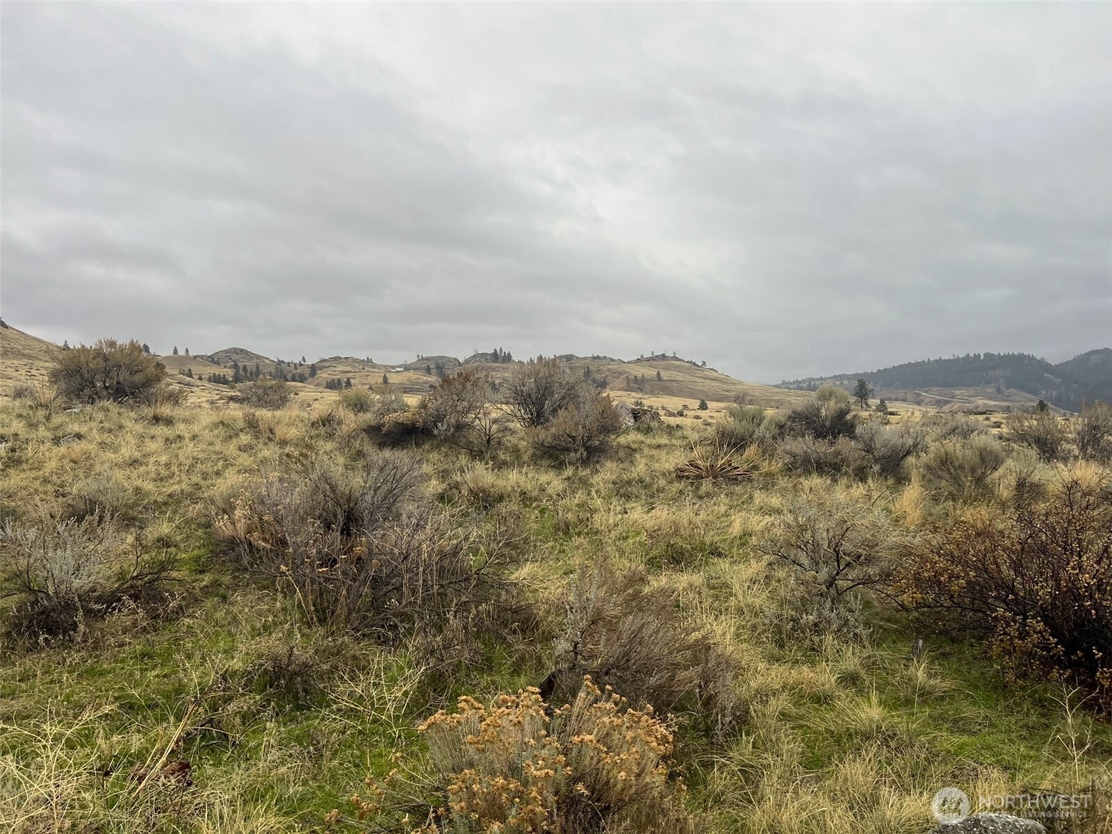 0 Lot 16 Pine Bluff Road Property Photo 1