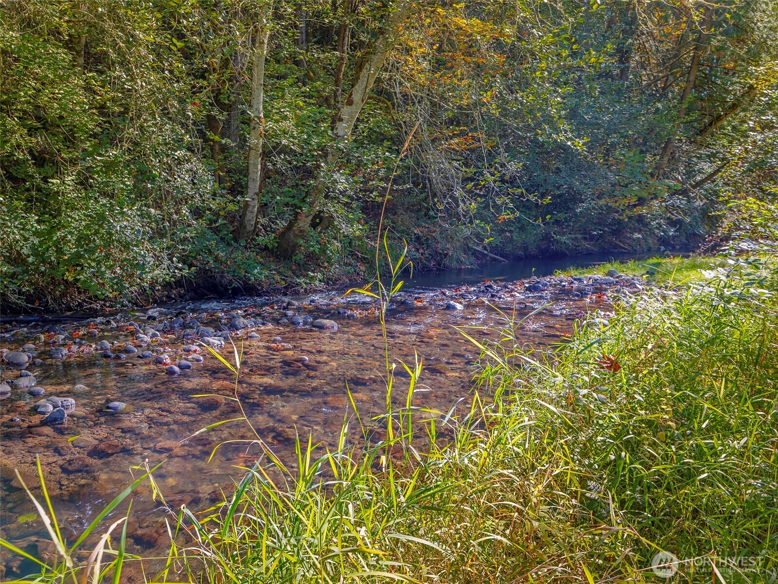 293935 Hwy 101 Property Photo 37